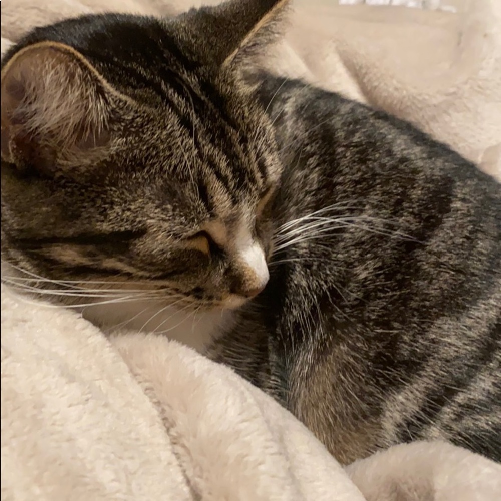 Meet your Posher, Claire